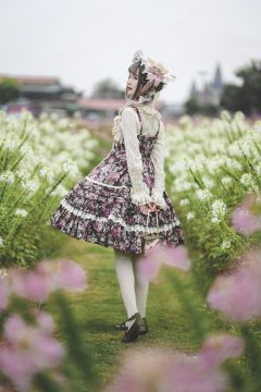 蔷薇花境-资料图