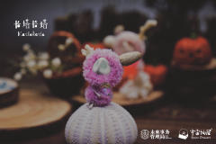 万圣节限定款-预言师-资料图