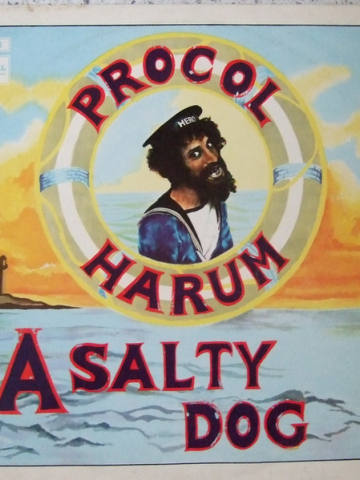 A Salty Dog