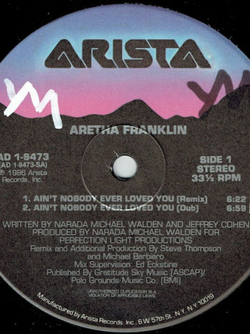 Ain't Nobody Ever Loved You