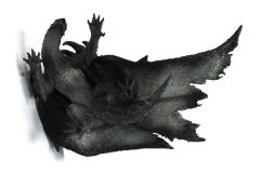 Capcom Figure Builder Standard Model Monster Hunter Vol.7 ゴア・マガラ-资料图