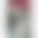 雾隐修拉
