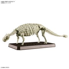 恐龙拼装模型 甲龙-资料图