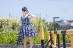 夏日贝壳 JSK-资料图