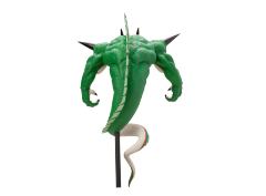 武道会 波伦加 -资料图
