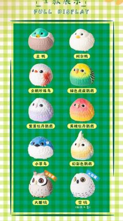 幻彩色鹦鹉-资料图