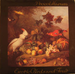 Exotic Birds And Fruit