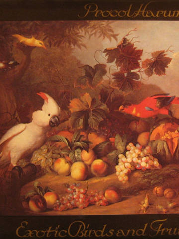 Exotic Birds And Fruit