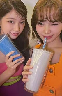 电子专B版 采叶