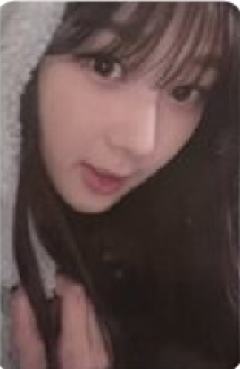 官周随机卡 梨ver.B