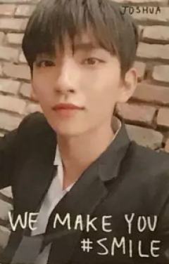 CARAT ver