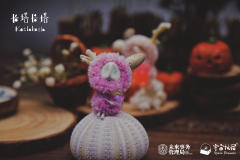 万圣节限定款-预言师-资料图