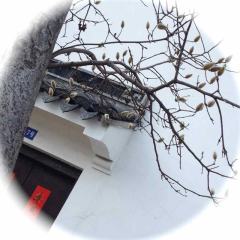 小嫏嬛馆
