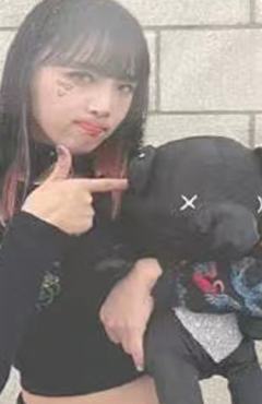 AM7.0线下 ver.C
