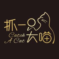 抓一只大喵