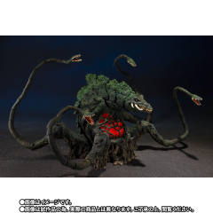 碧奥兰蒂 Special Color Ver.-资料图