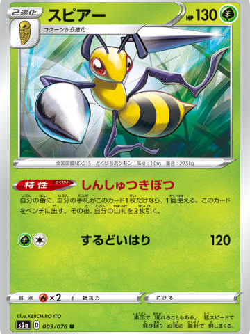 大针蜂
