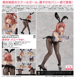 B-style 穗乃花 Bunny ver.-资料图