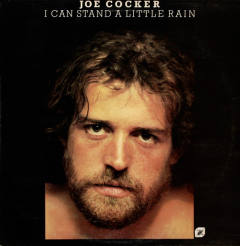 I Can Stand A Little Rain