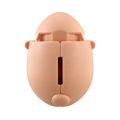 Egg Stars 哈姆 -资料图