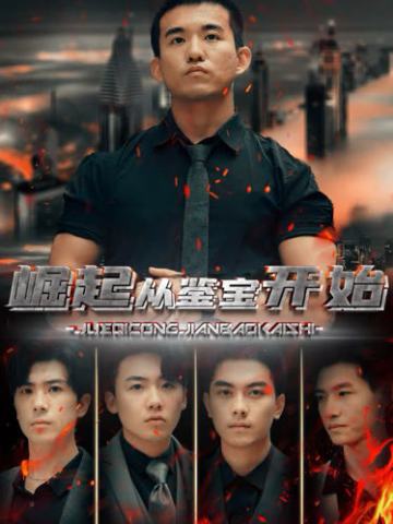 重生崛起从鉴宝开始