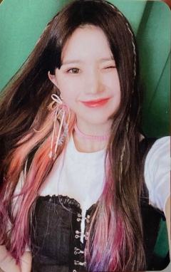 专卡 ver.Purple Back 2