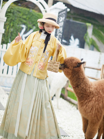 小狐狸