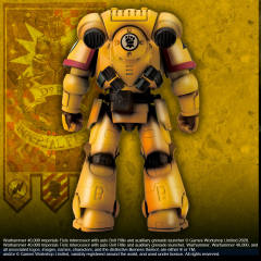 原铸星际战士 Imperial Fists-资料图