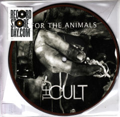 For The Animals / Lucifer
