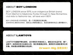 变色龙-BOY LONDON联名系列-资料图