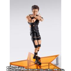 SHF T.M.Revolution-资料图