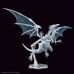 FRS Amplified 青眼白龙-资料图