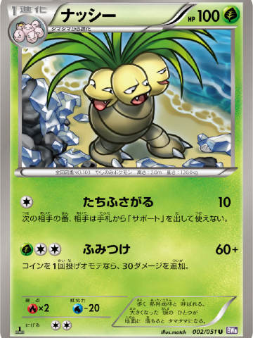 椰蛋树