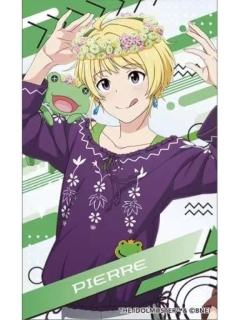 皮埃尔-movic透卡