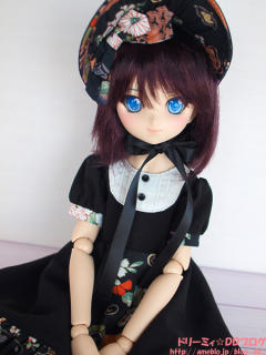 Dollfie Dream Mini Dollfie Dream 琪露诺 Dream Design-资料图