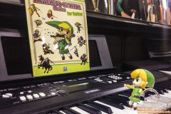 林克 The Wind Waker Ver.-资料图