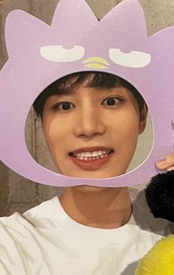 三丽鸥立牌卡 一