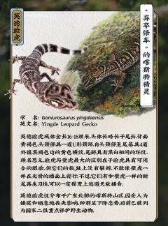 英德脸虎-资料图