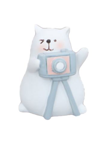拍照猫