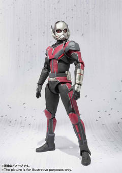SHF 蚁人-资料图