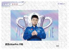 武汉eStarPro.子阳