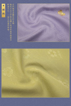 梅花三龙·补服-资料图