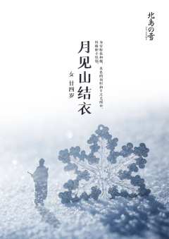 北岛的雪-资料图