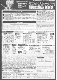 FRS 未来特兰克斯/未来特兰克斯超级赛亚人-资料图