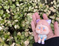 单身狗曲奇合作款-资料图