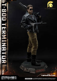 T-800 DX version-资料图