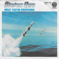 What You're Proposing