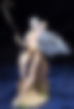 塞露贝利亚·布蕾斯 Limited Edition