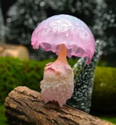 怪獣之子·厌雨君成长-资料图