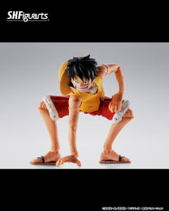 SHF 蒙奇·D·路飞-玛丽弗德顶上决战--资料图